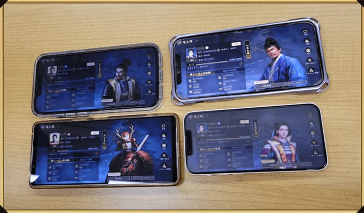 領主録写真の例